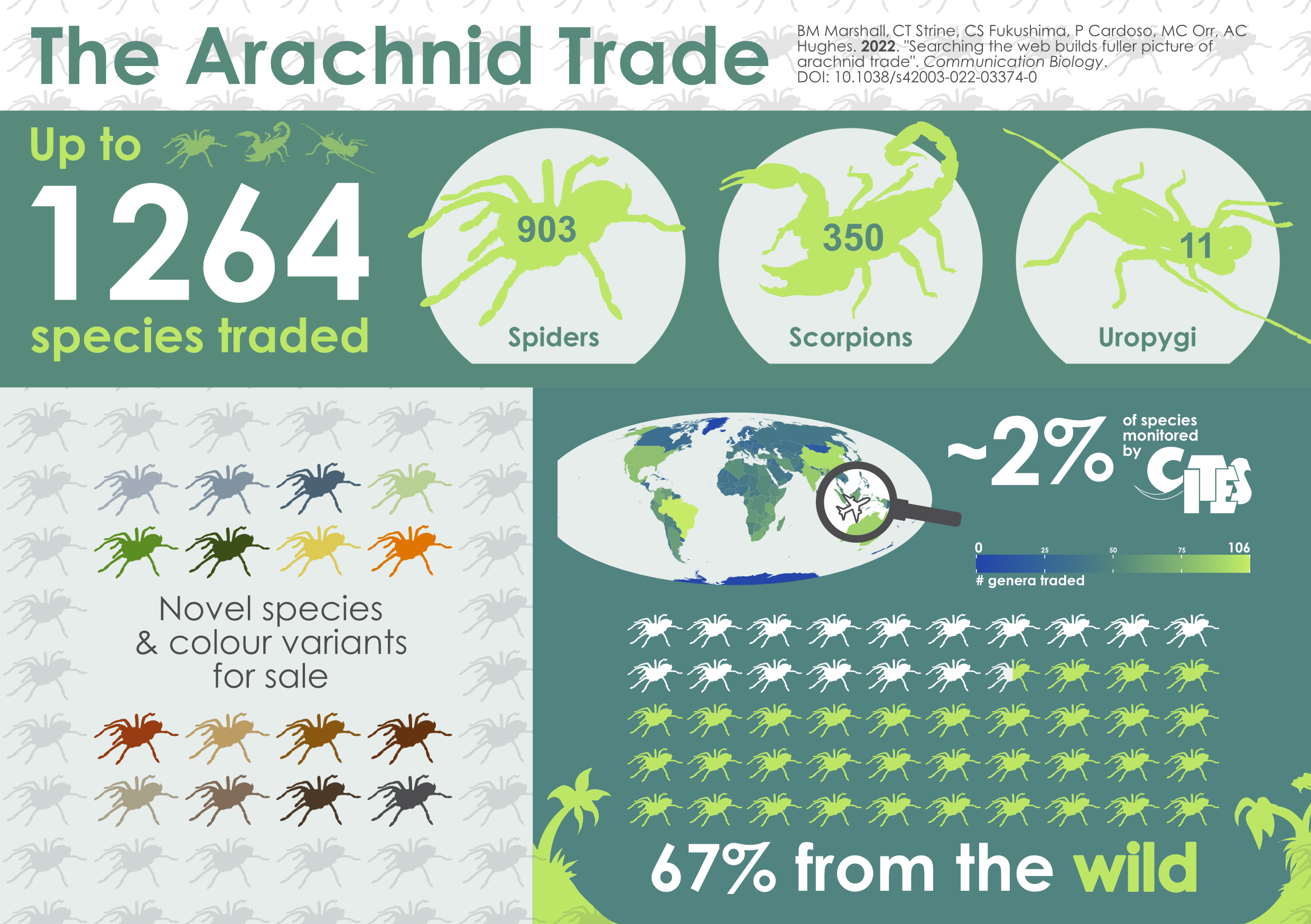 The study found over 1,000 spiders, scorpions and whip scorpions available for sale online