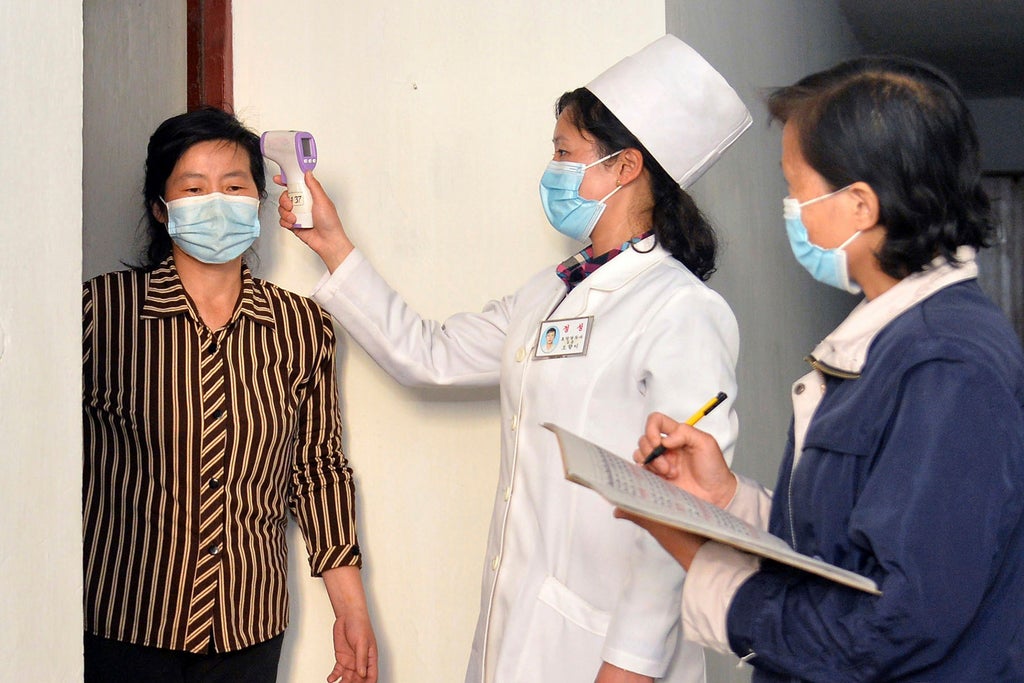 N. Korea’s low death count questioned amid COVID-19 outbreak
