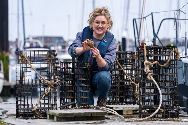 Heidi McIlvenny, marine conservation manager at Ulster Wildlife, inspecting one of the 24 native oyster nurseries installed by the wildlife charity at Bangor Marina to help boost the recovery of this endangered species in Belfast Lough (UlsterWildlife/PA)