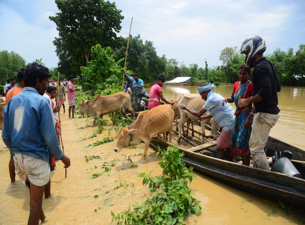 <p>File image: Villagers lead their cattle to a partially flooded road after travelling on a boat through flood waters following heavy rains in Nagaon district, Assam state, on 19 May 2022</p>