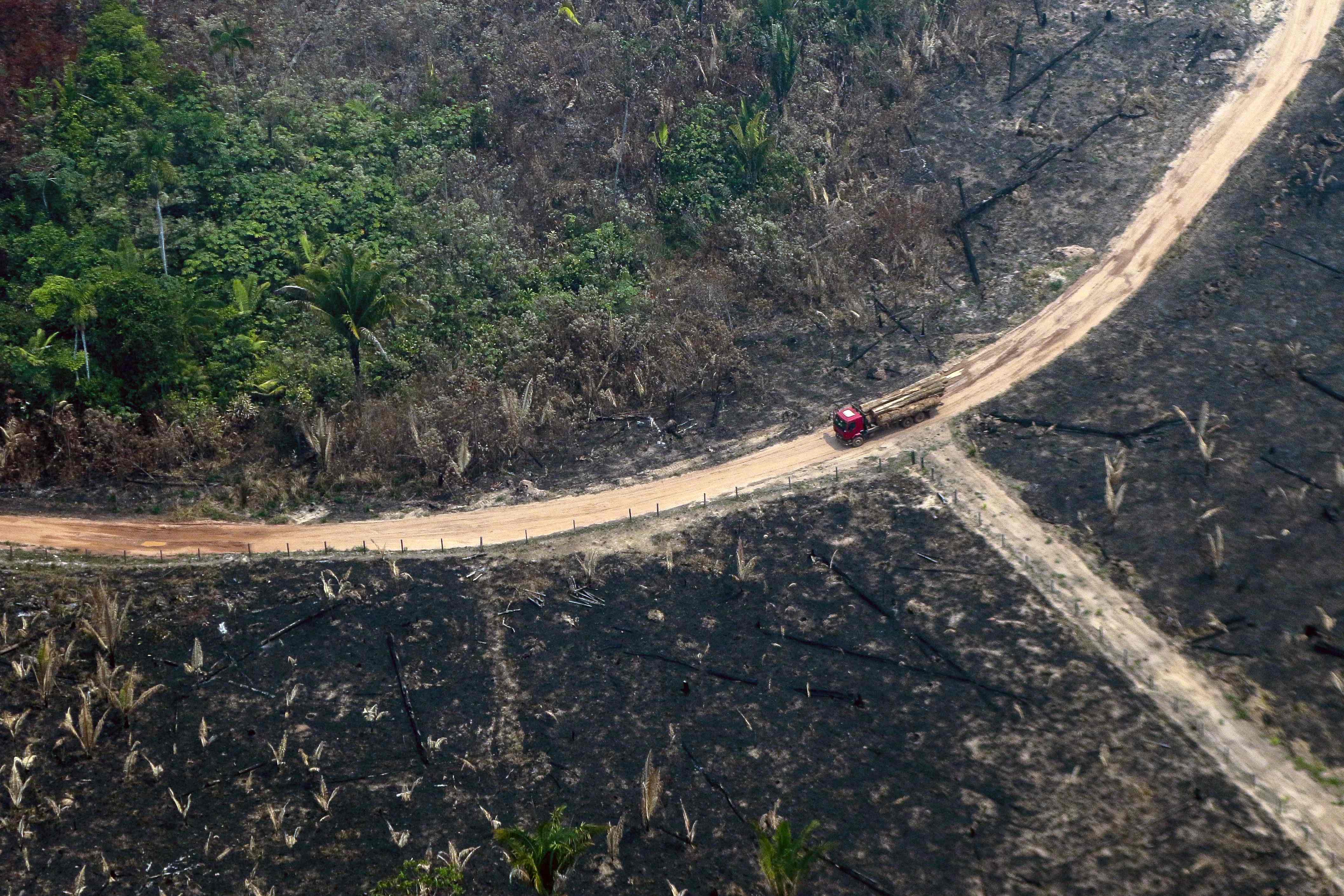 An aerial view of burnt areas of the Amazon rainforest in 2019