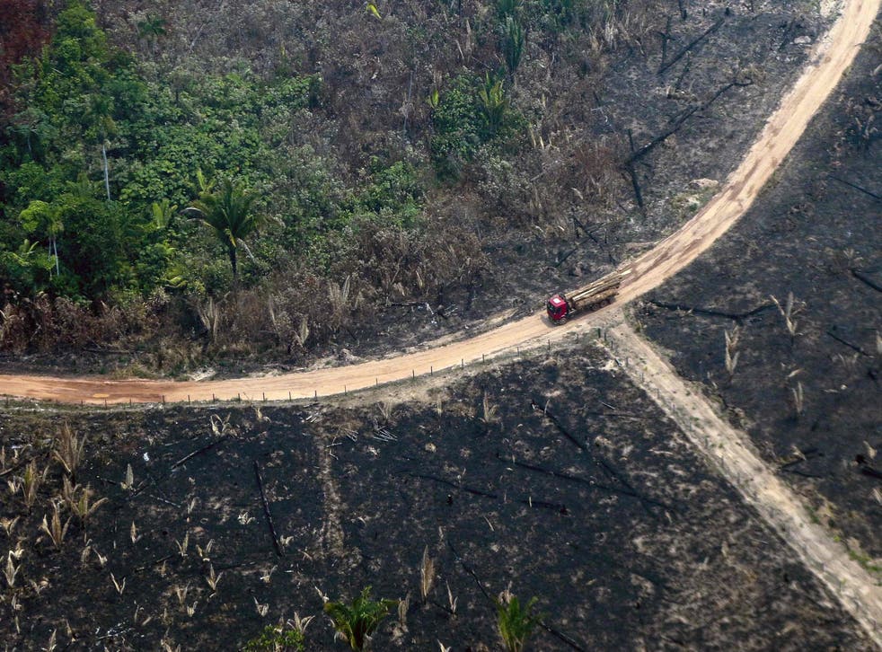 <p>An aerial view of burnt areas of the Amazon rainforest in 2019</p>