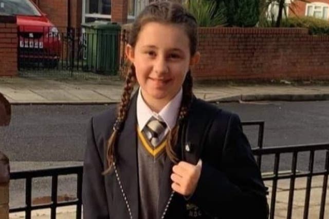 <p>Friends of Ava said the 15-year-old boy ‘grinned’ after stabbing her</p>