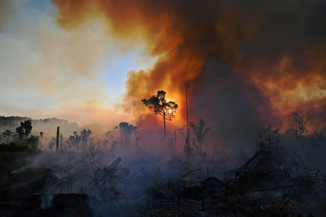 <p>Fires blaze across the Brazilian Amazon in 2020. Deforestation in the South American country has been rising in recent years</p>