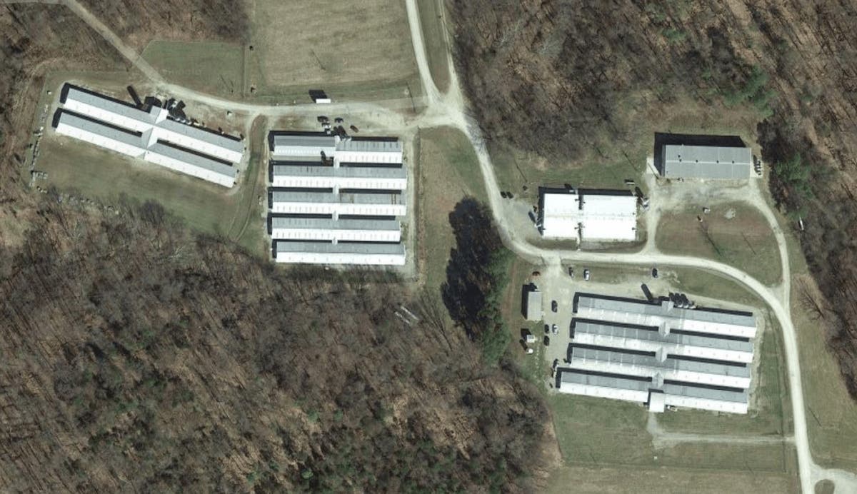 Federal agents seize 145 beagles said to be in &lsquo;acute distress&rsquo; from dog breeding facility