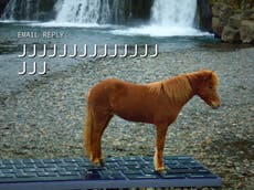 You can now enlist an Icelandic horse to write your out of office emails