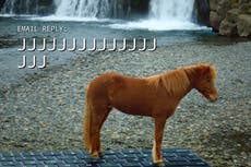 You can now enlist an Icelandic horse to write your out of office emails