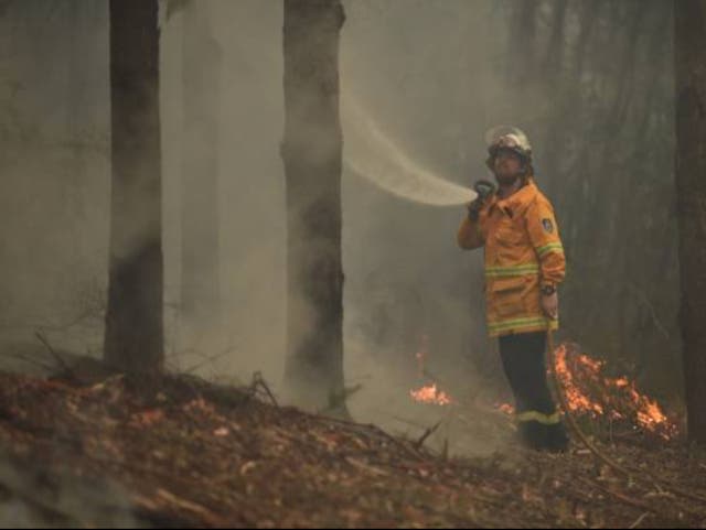 <p>The devastating wildfires of 2019-20 prompted a wave of support for climate action </p>
