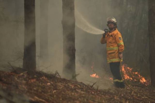 <p>The devastating wildfires of 2019-20 prompted a wave of support for climate action </p>