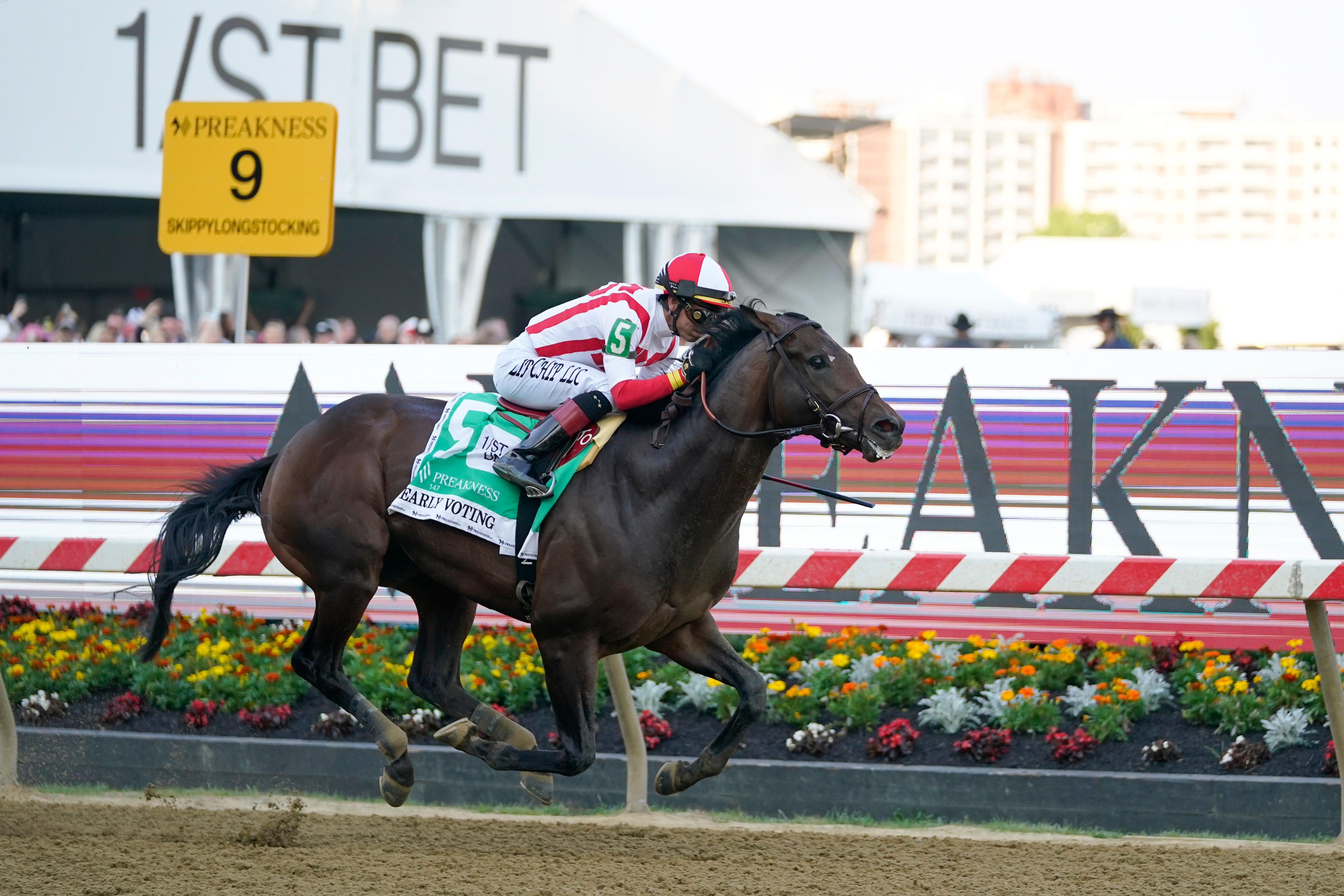 Preakness Stakes Horse Race