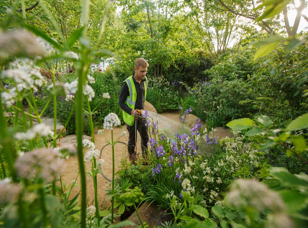 Garden designer Jamie Butterworth waters his sanctuary garden, ‘The Place2Be Securing Tomorrow Garden’ during the build-up to the RHS Chelsea Flower Show (RHS/Luke MacGregor/PA)