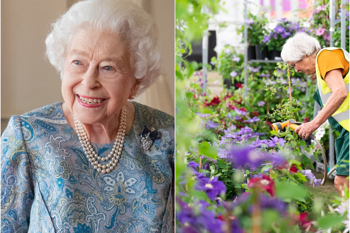 Chelsea Flower Show to mark platinum jubilee with floral portrait of the Queen