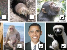 Michigan teacher placed on leave after including photo of Obama in assignment about primates