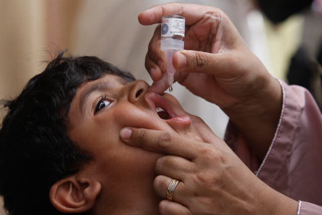 <p>Pakistan Polio</p>