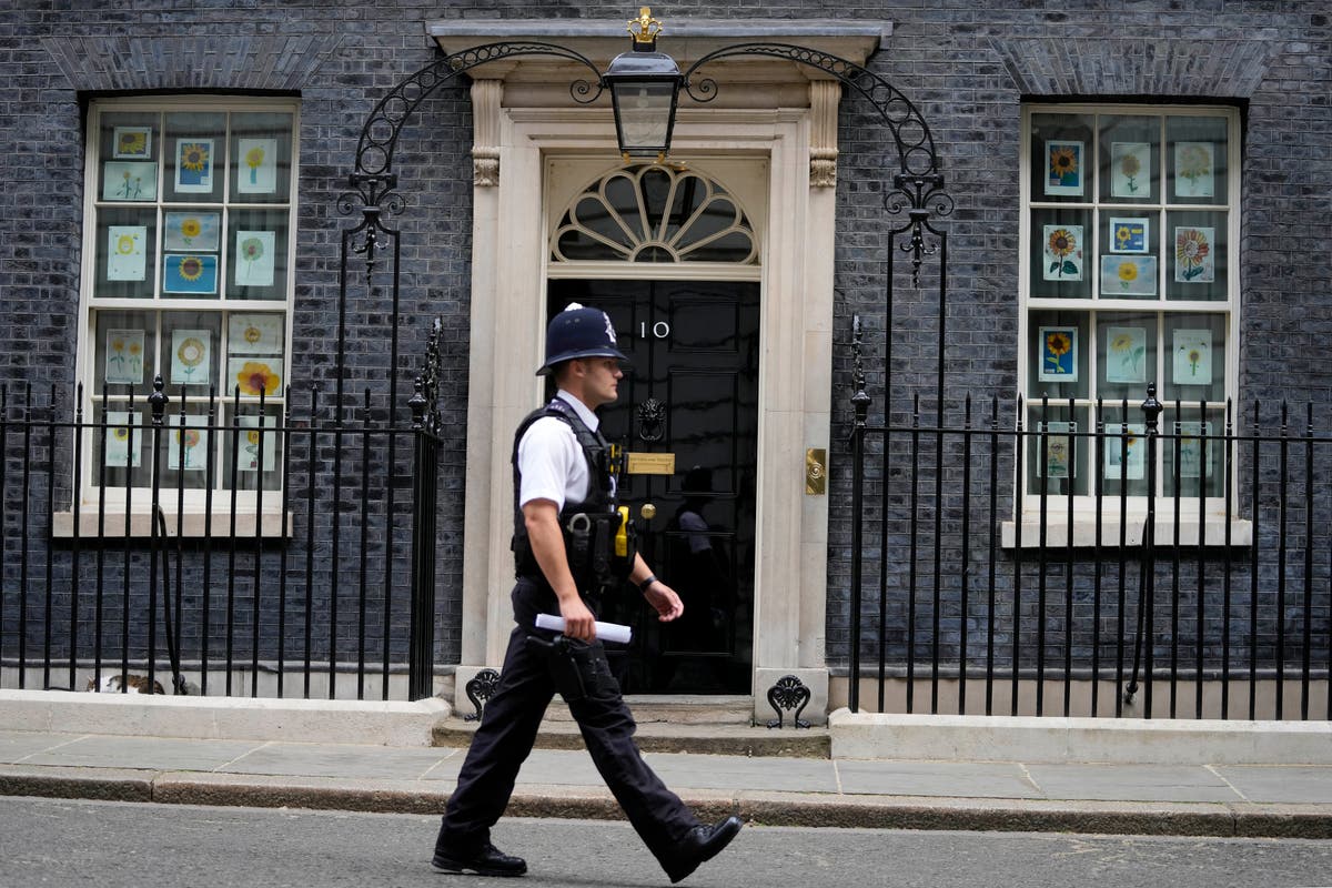 10 downing street. Даунинг стрит 10. Даунинг стрит 10 Украина. Вечеринки на Даунинг стрит. Gray Police.