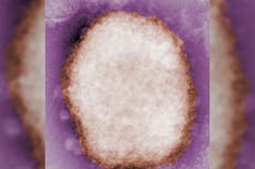 Monkeypox: UK cases more than double to 57