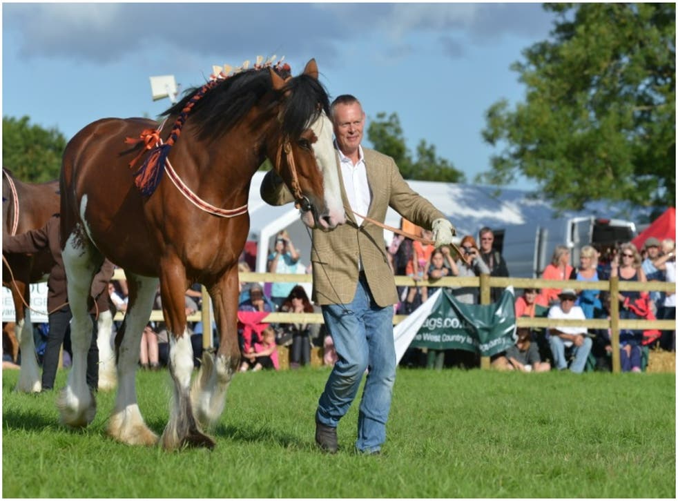 Martin Clunes has been appointed as president of the upcoming World Clydesdale Show (World Clydesdale Show/PA)