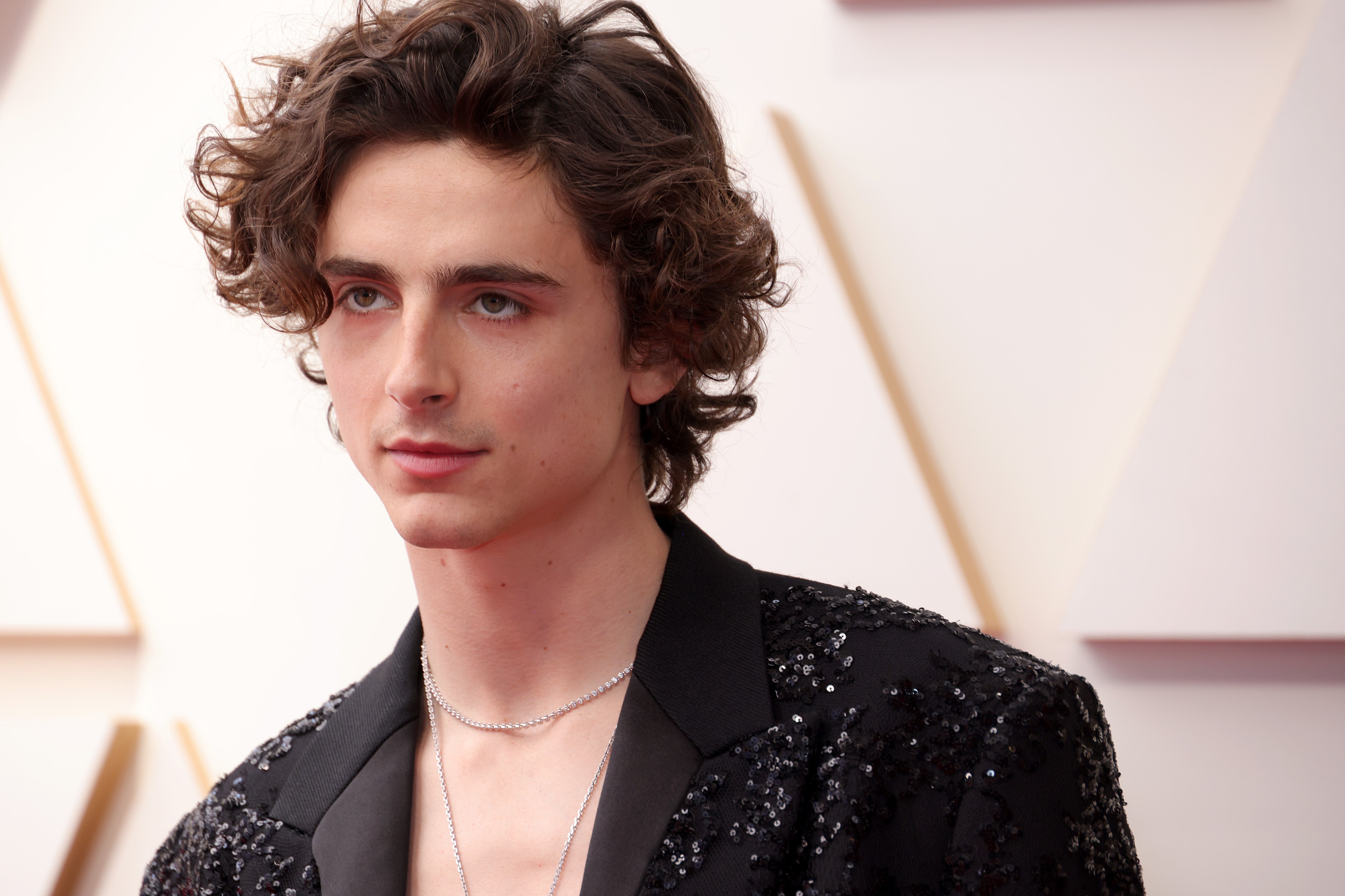 Timothée Chalamet revealed that he tested for ‘Spider-Man’