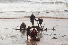 New floods in eastern South Africa displace more than 300