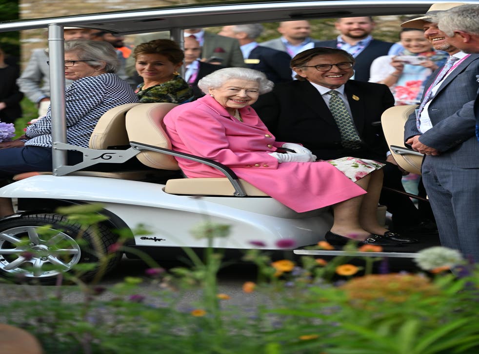 The Queen used a buggy to tour this year’s RHS Chelsea Flower Show (Paul Grover/Daily Telegraph/PA)