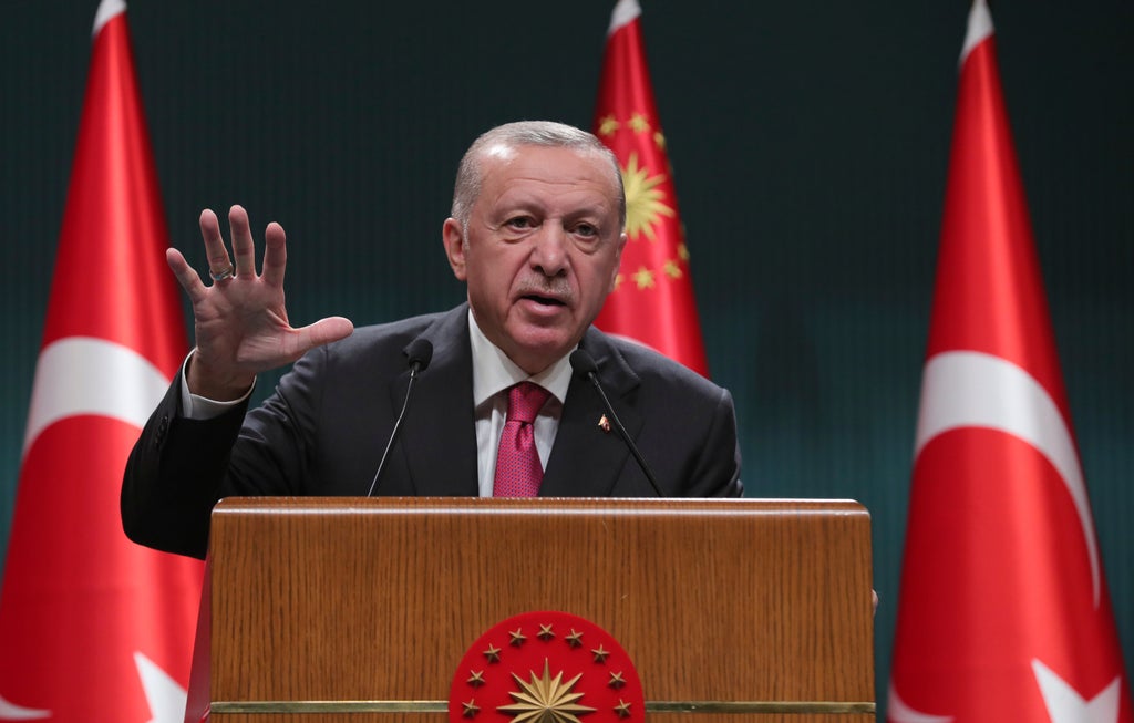 Turkey’s Erdogan says he will no longer talk to Greek PM
