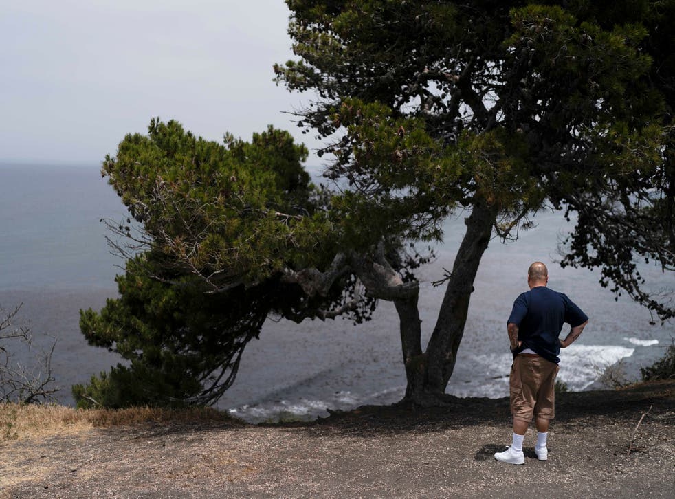 <p>An onlooker stands near an ocean cliff in Palos Verdes Estates</p>