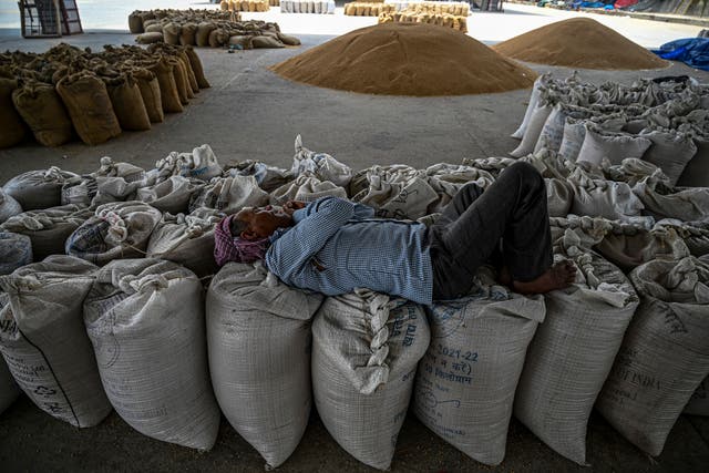 <p>A labourer takes a nap on sacks of wheat at a wholesale grain market in New Delhi on 18 May 2022</p>
