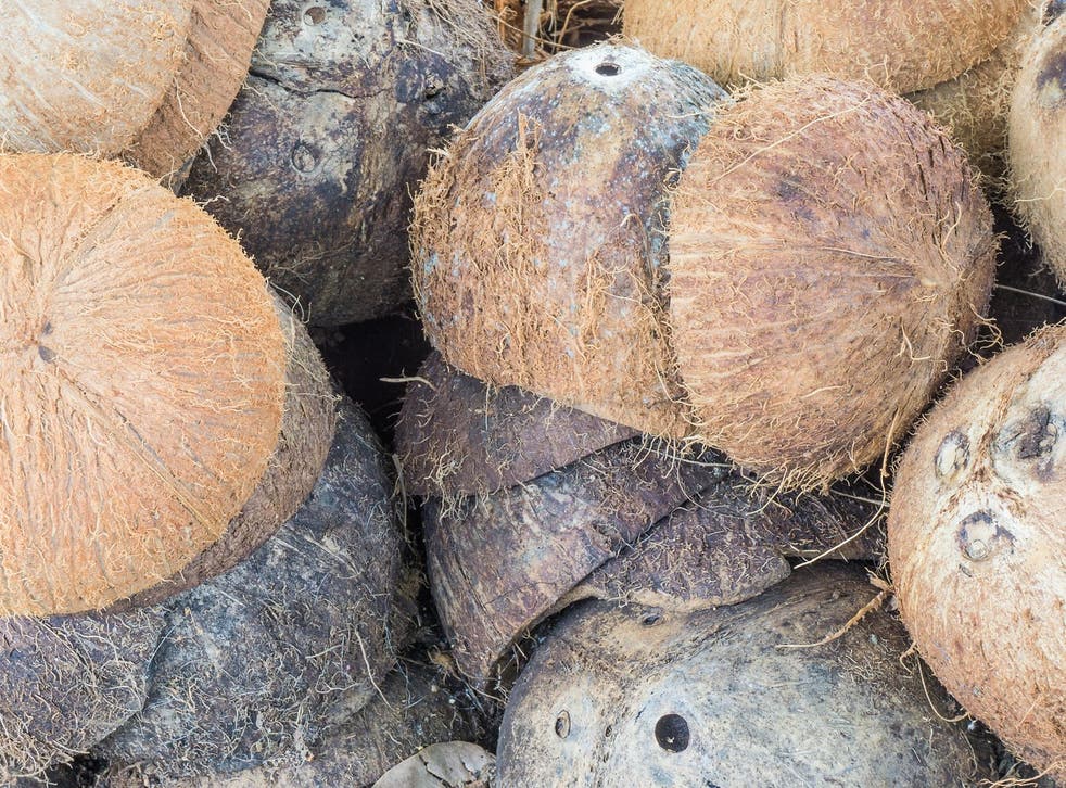 <p>Waste coconut shells can be recycled into electrodes for the supercapacitor</p>