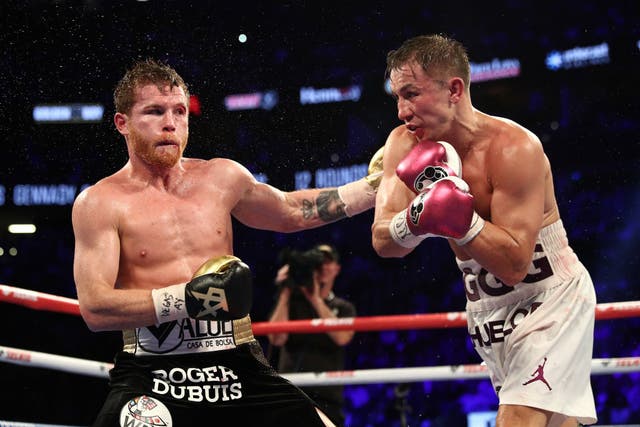 <p>Canelo has confirmed his next bout </p>