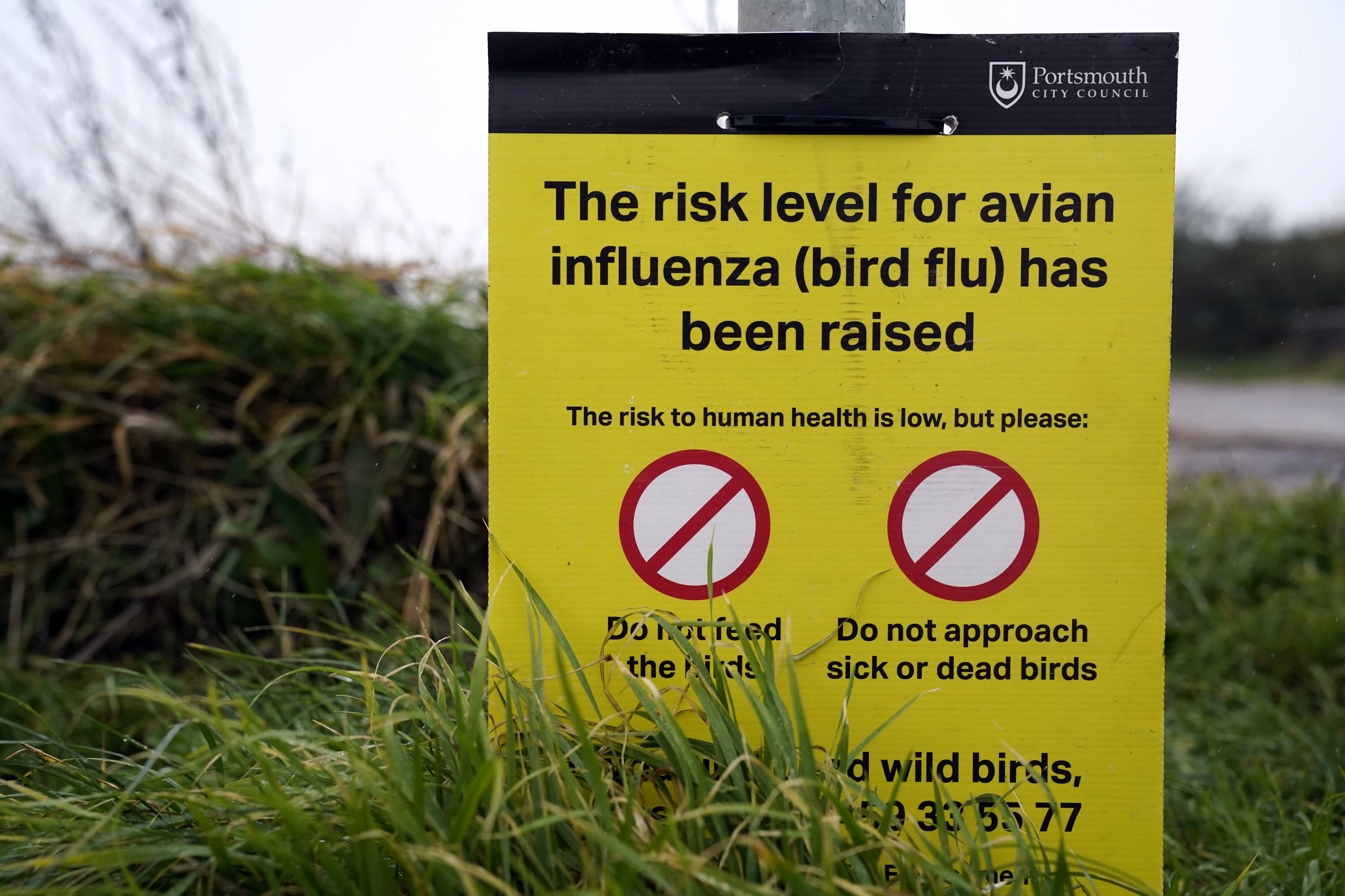 People have been warned to stay away from sick or dead wild birds and wash their hands if they feed wild birds (PA)