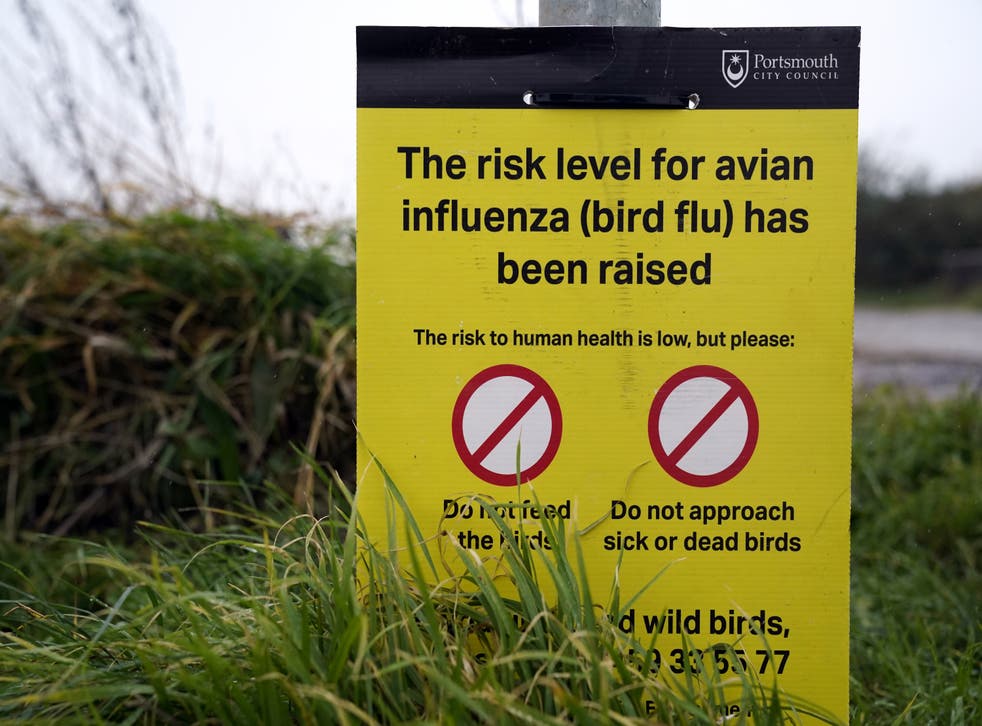 The Avian Influenza Prevention Zone across Northern Ireland is to be lifted (PA)
