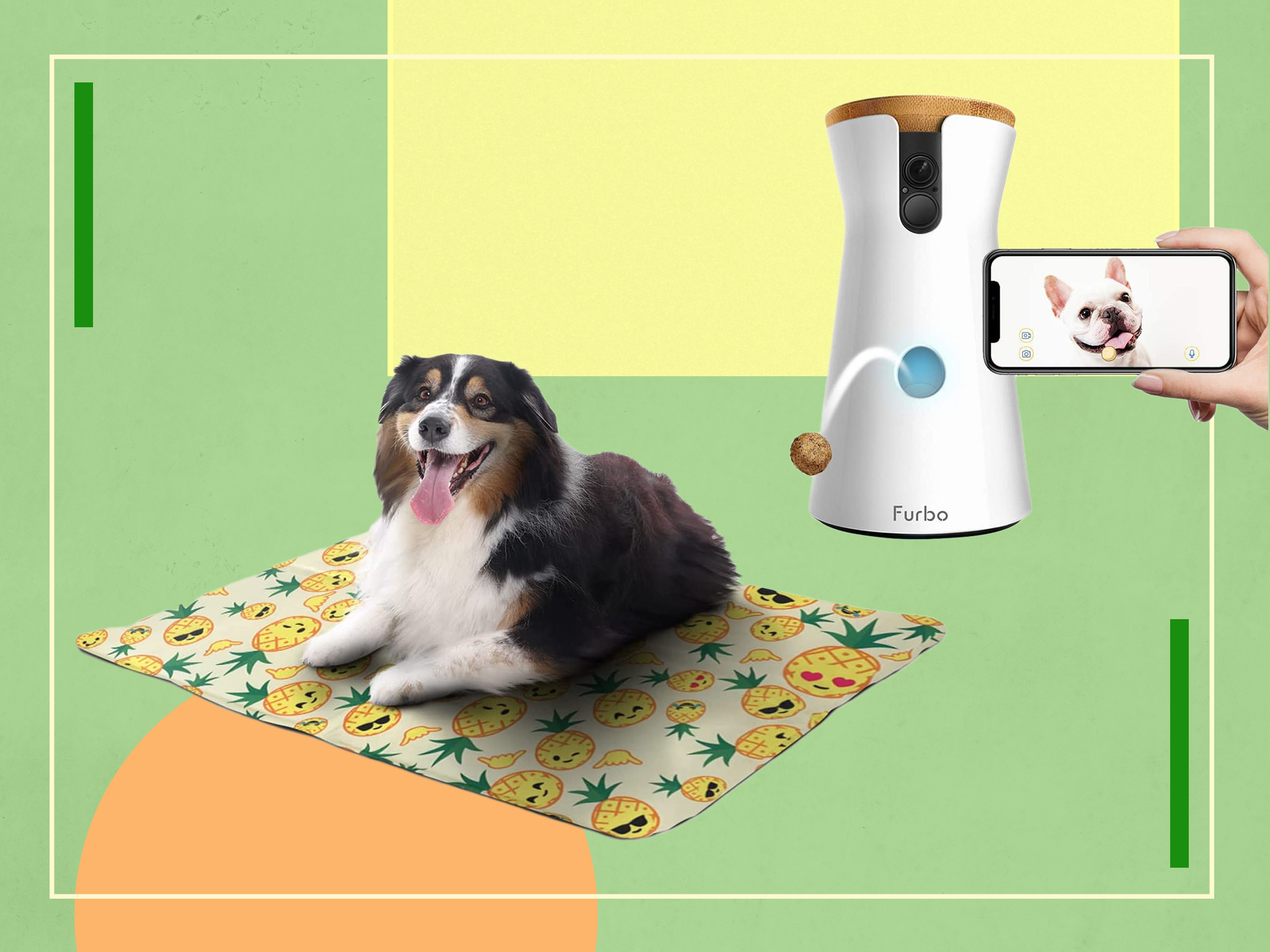We’ve got our eye on everything from toys and games, to plush dog beds and the hottest gadgets