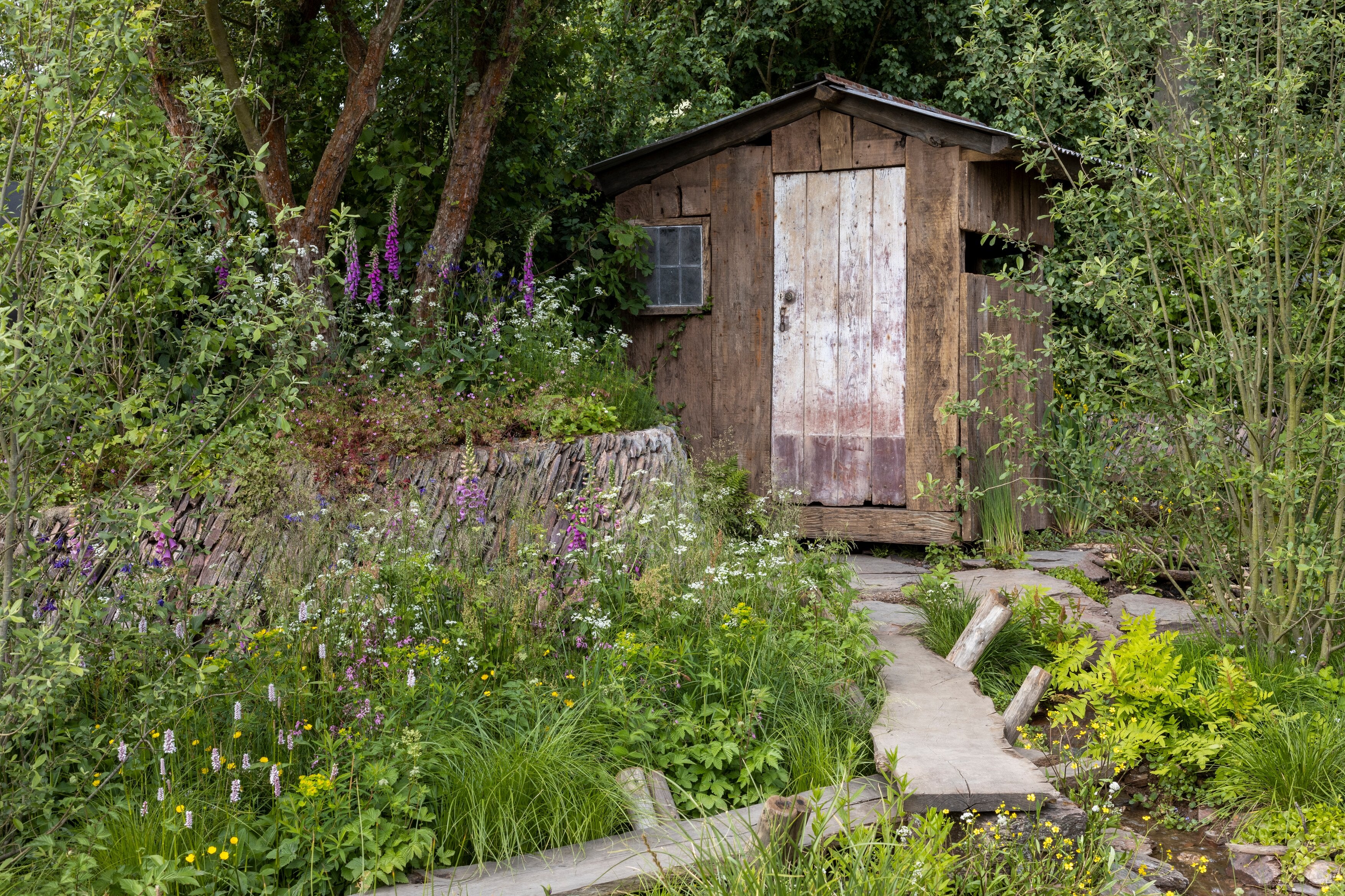 Wildflowers line the path to a wildlife watching hide in the Rewilding Britain Landscape garden (RHS/PA)