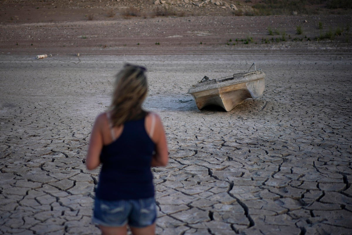 Las Vegas store sells ‘corpse water’ after drought uncovers bodies in Lake Mead
