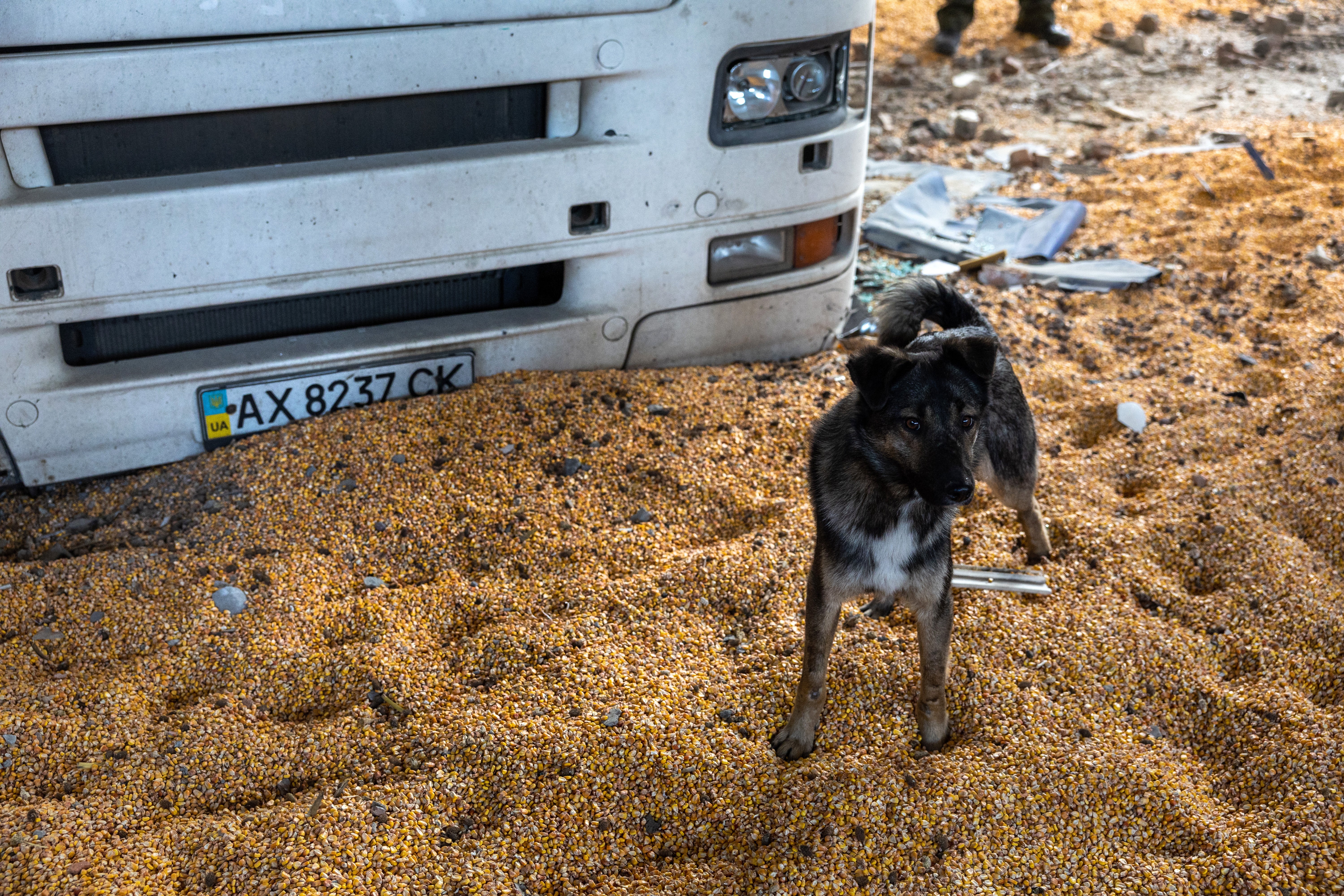 Russia has been accused of causing a food crisis by blocking Ukraine grain exports