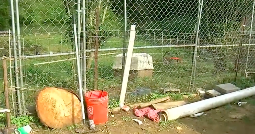 Alabama woman mauled to death by neighbor’s dogs