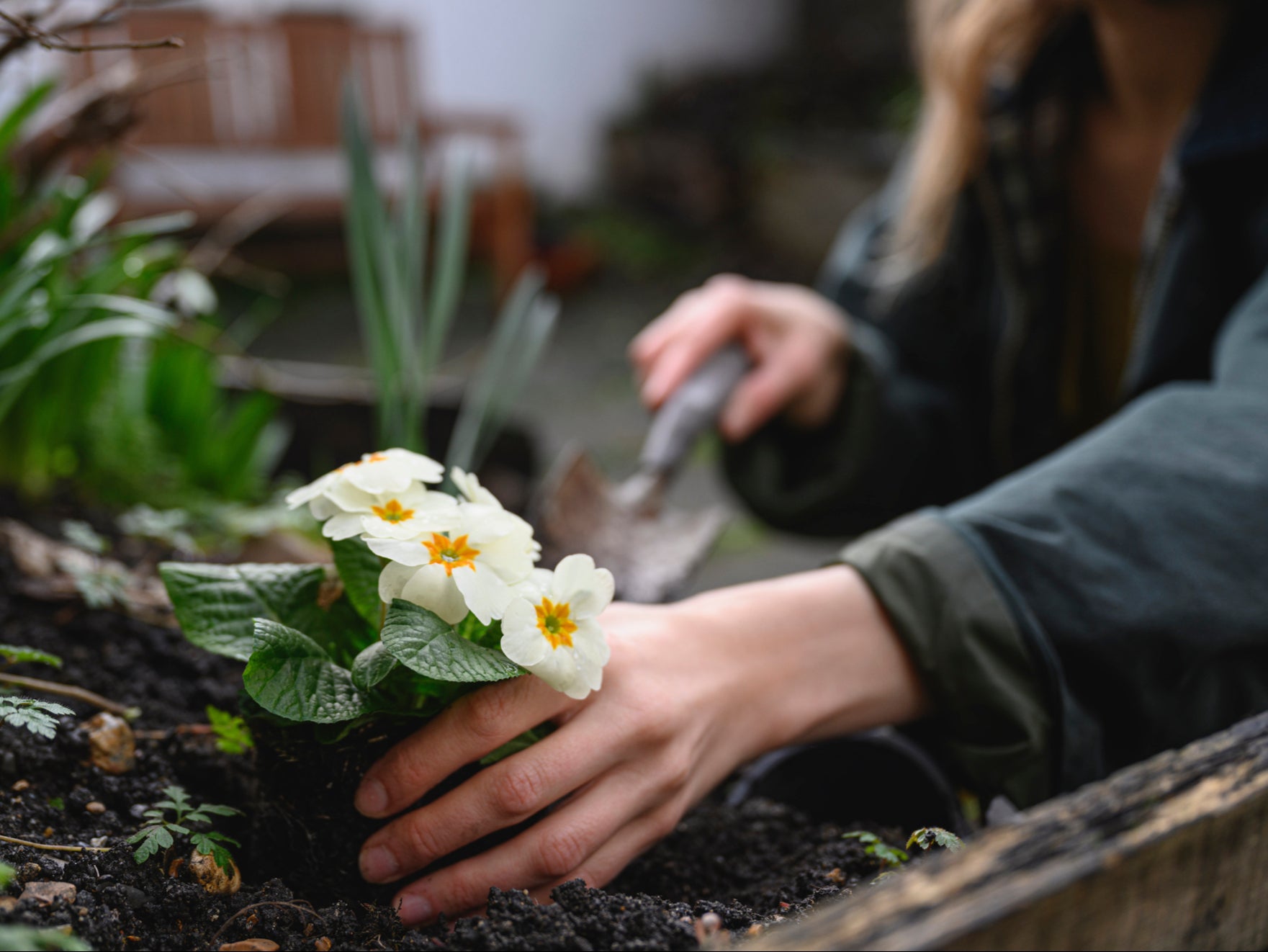 One-third of Britons have developed a greater interest in gardening since the coronavirus pandemic hit