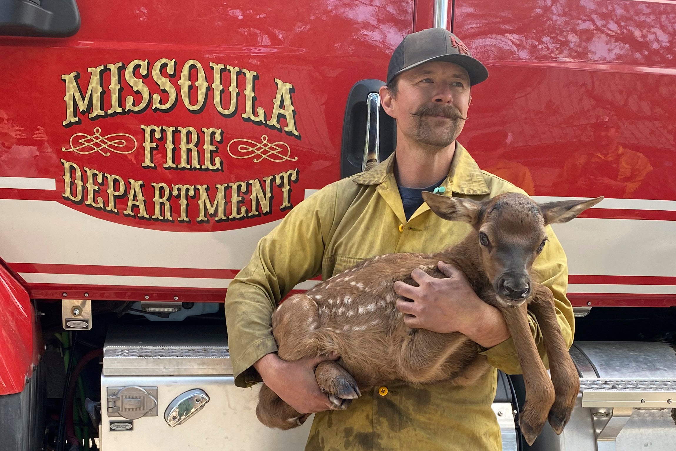 Spring Wildfires Rescued Elk