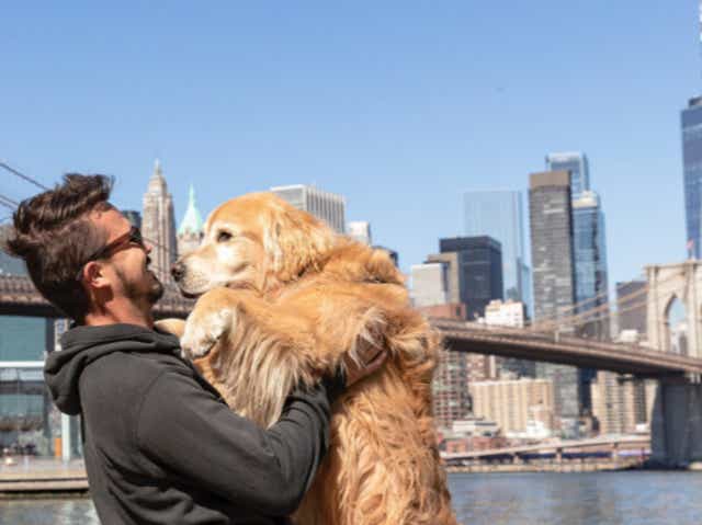 <p>Jesse Koz with his pet golden retriever Shurastey in New York</p>