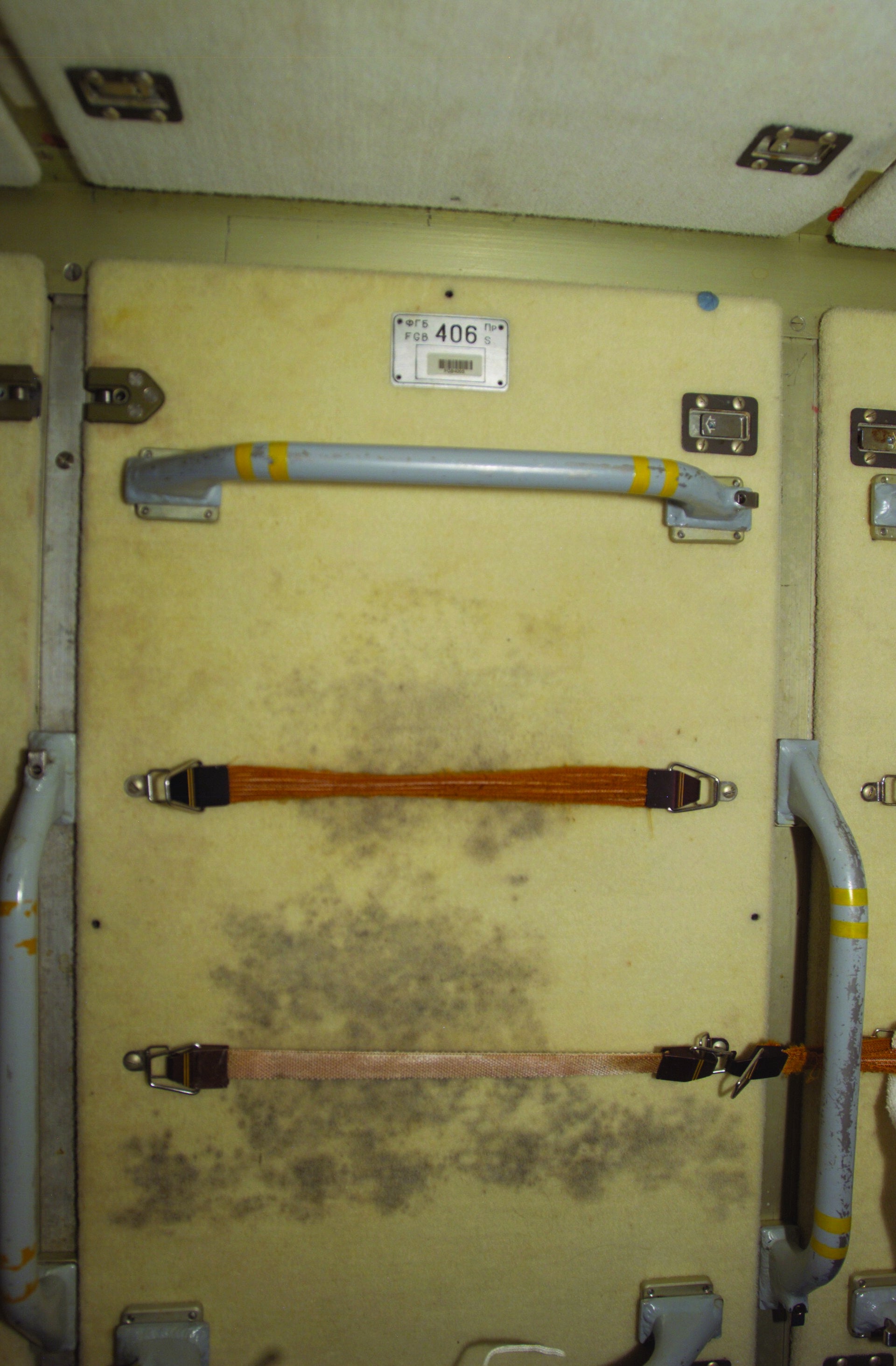 Fungi observed on the ISS, growing on a panel of the Russian Zarya Module where exercise clothes were hung to dry