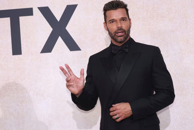 <p>A-listers including singer Ricky Martin lent support to amfAR: The Foundation for Aids Research (Vianney Le Caer/AP)</p>