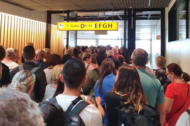<p>Queues at Amsterdam Schiphol on Monday</p>