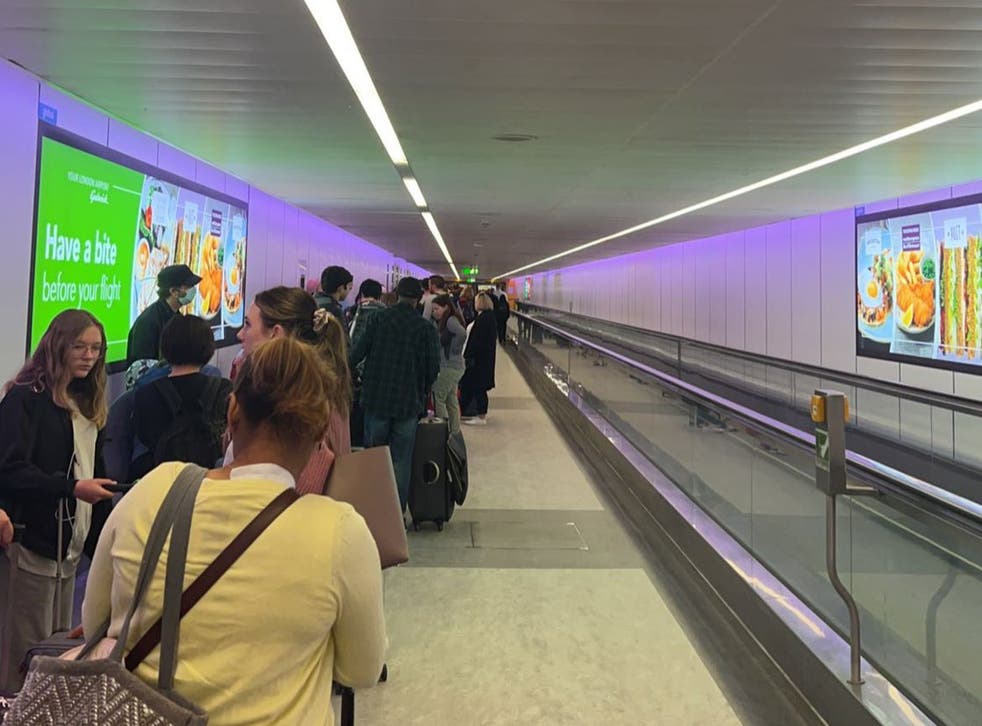 <p>A customer photo of British Airways check-in queues last Friday </p>