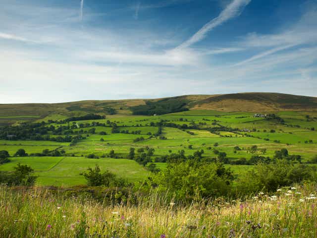 <p>The lush Ribble Valley countryside has inspired a band of sustainability-minded chefs and creators</p>