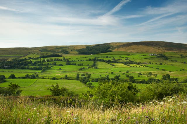 <p>The lush Ribble Valley countryside has inspired a band of sustainability-minded chefs and creators</p>