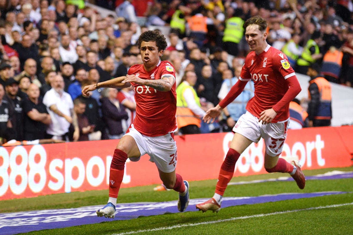 Huddersfield vs Nottingham Forest live stream: How to watch Championship play-off final online and on TV today