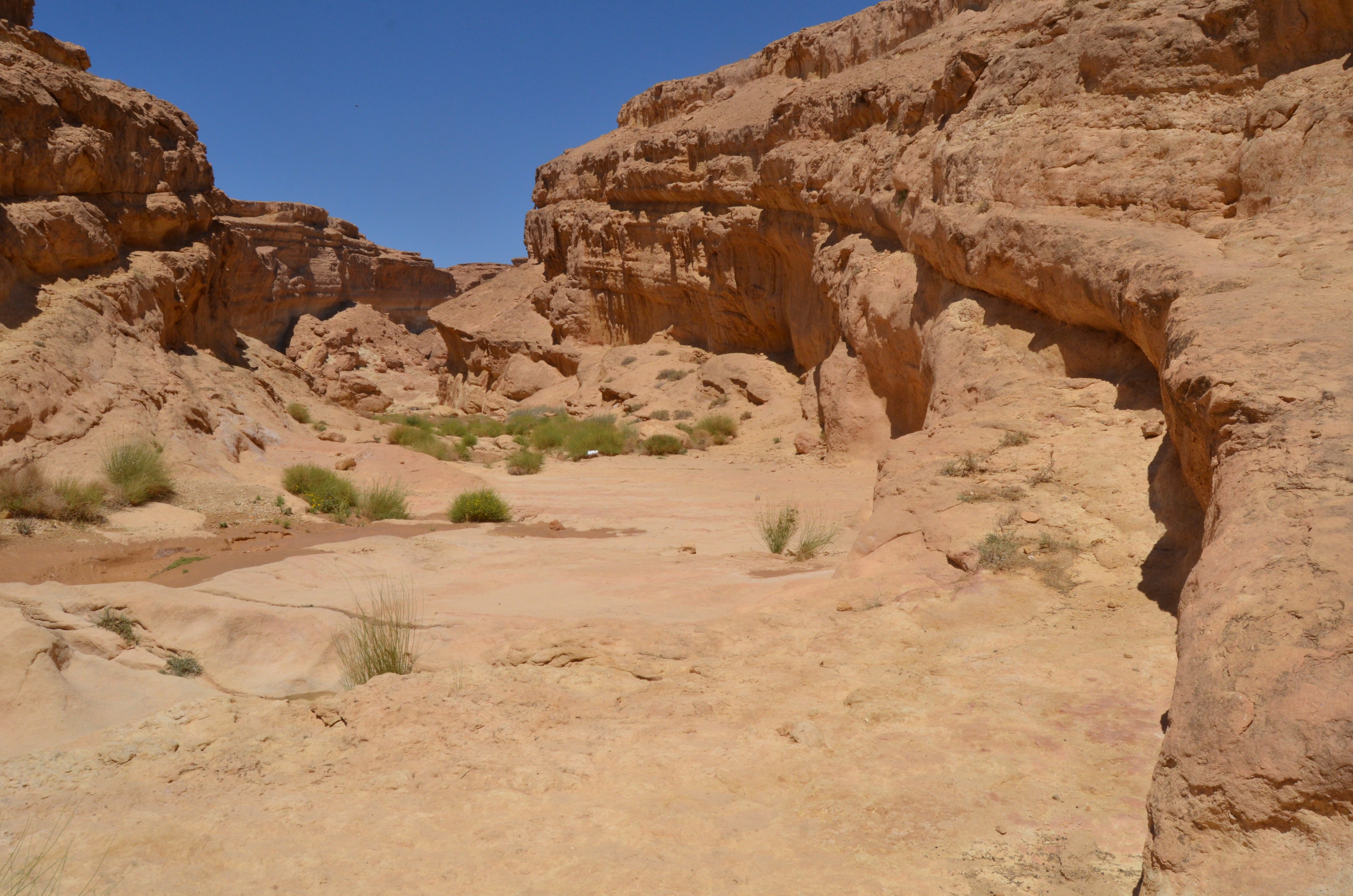 Sidi Bouhlel, a landscape which featured in the original movie