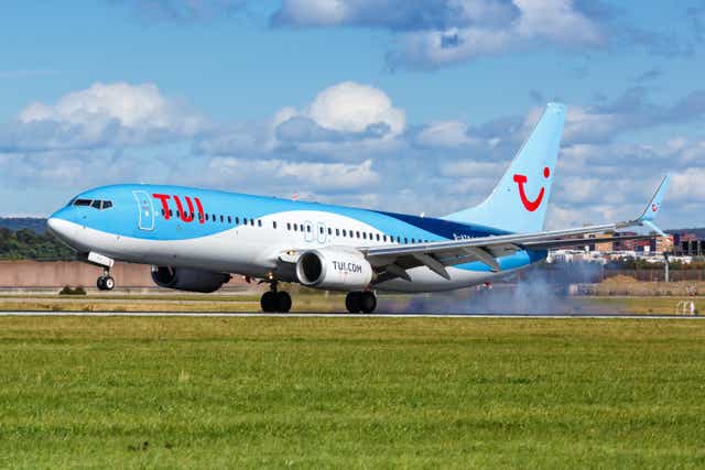 <p>The airline has apologised for scrapping the small number of flights </p>