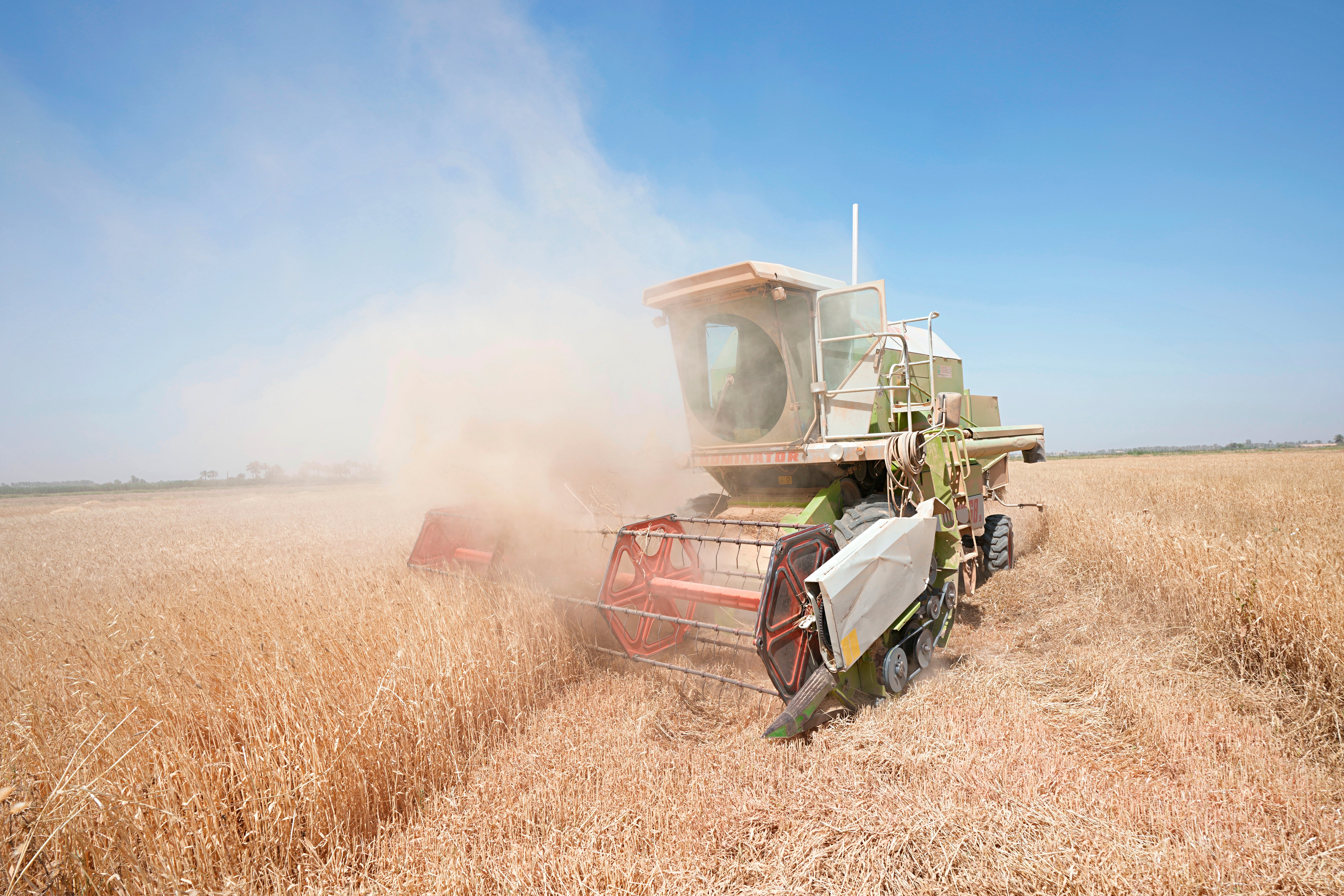 Iraq-Wheat Harvest