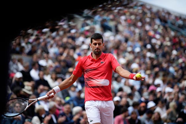Novak Djokovic (pictured) beat Diego Schwartzman at Roland Garros (Christophe Ena/AP)